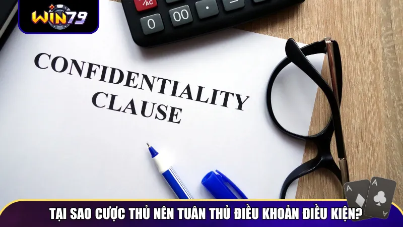 Cược thủ cần tuân thủ điều khoản điều kiện Win79